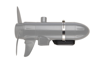 DSI TM mount
