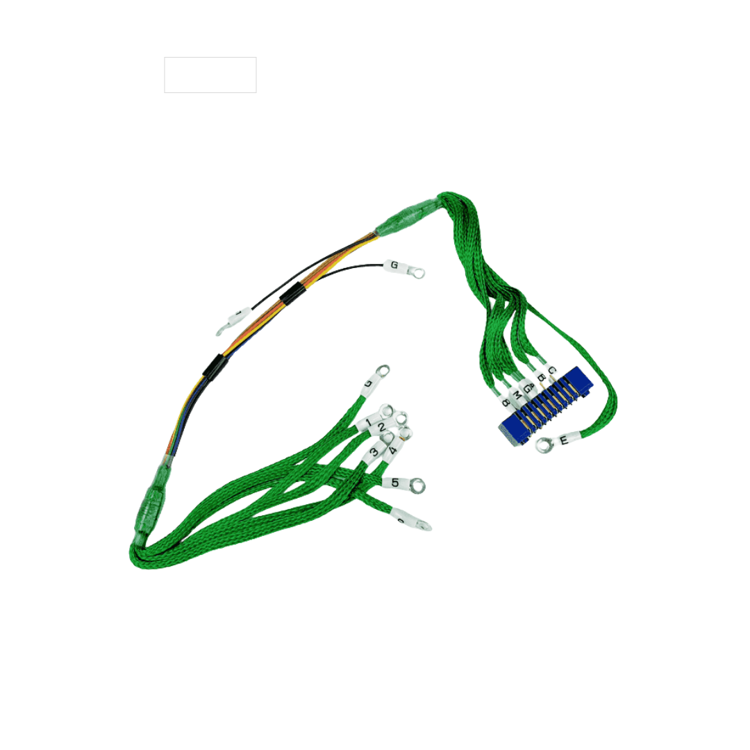 Master Compass - Harness Assembly