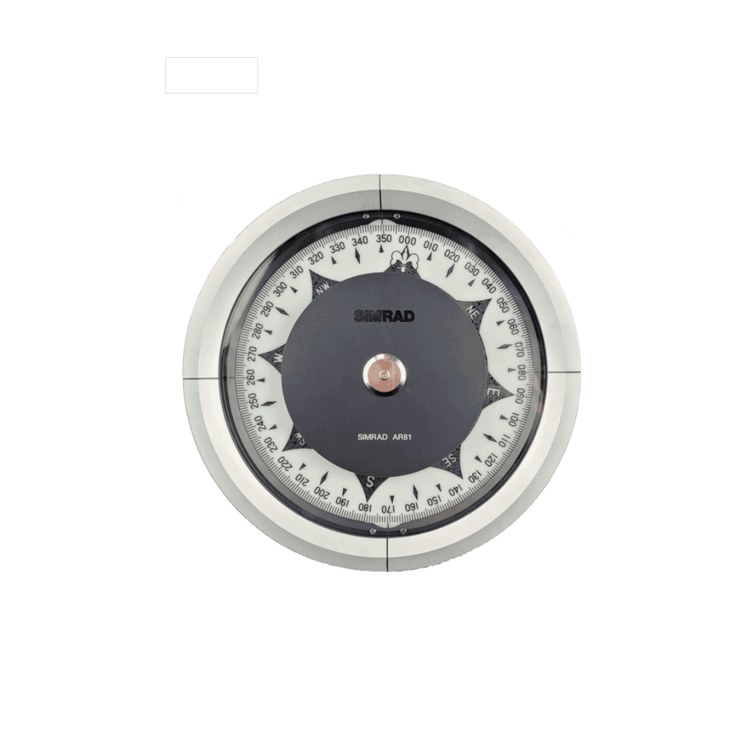 AR91 SINGLE SCALE REPEATER