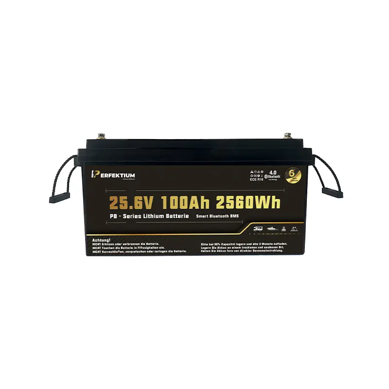 Batería Perfektium 25.6V 100Ah PRO PB SERIES LiFePO4 - Imagen 4