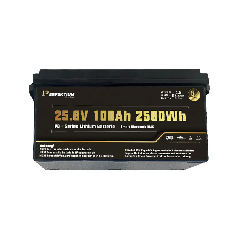 Batería Perfektium 25.6V 100Ah PRO PB SERIES LiFePO4 - Imagen 2