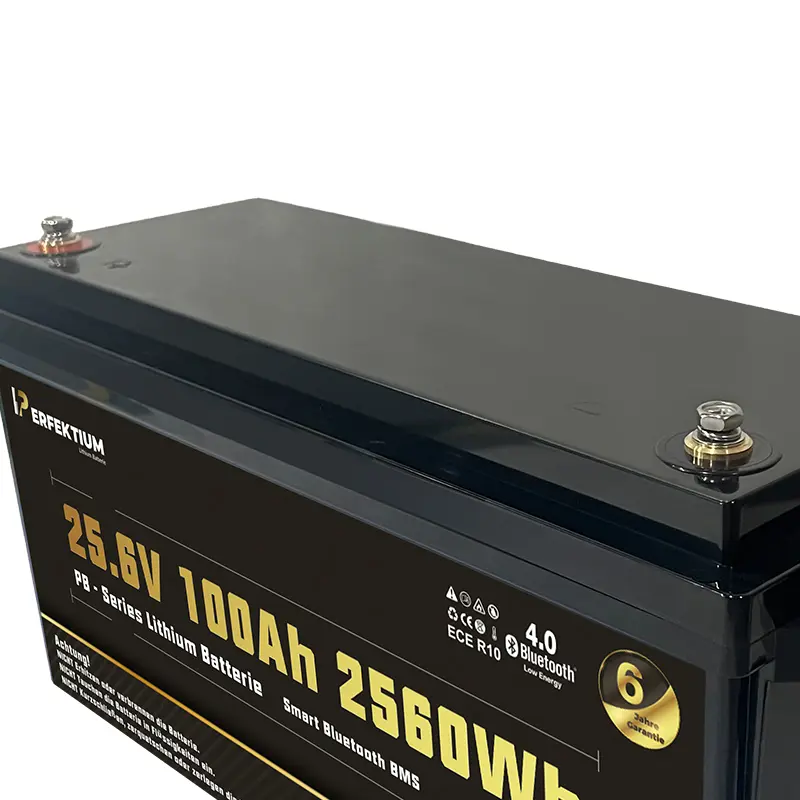 Batería Perfektium 25.6V 100Ah PRO PB SERIES LiFePO4 - Imagen 3