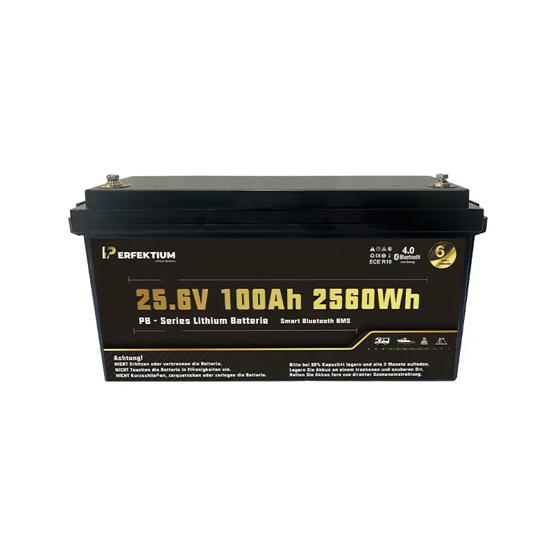 Batería Perfektium 25.6V 100Ah PRO PB SERIES LiFePO4 - Imagen 5